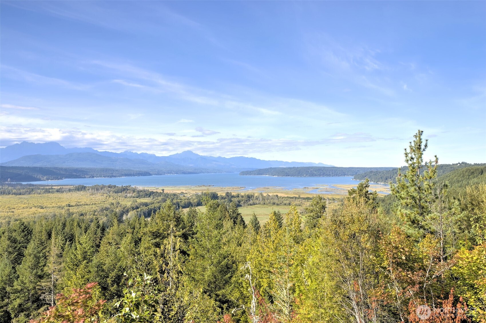 12 Webb Hill Road Union WA 98592