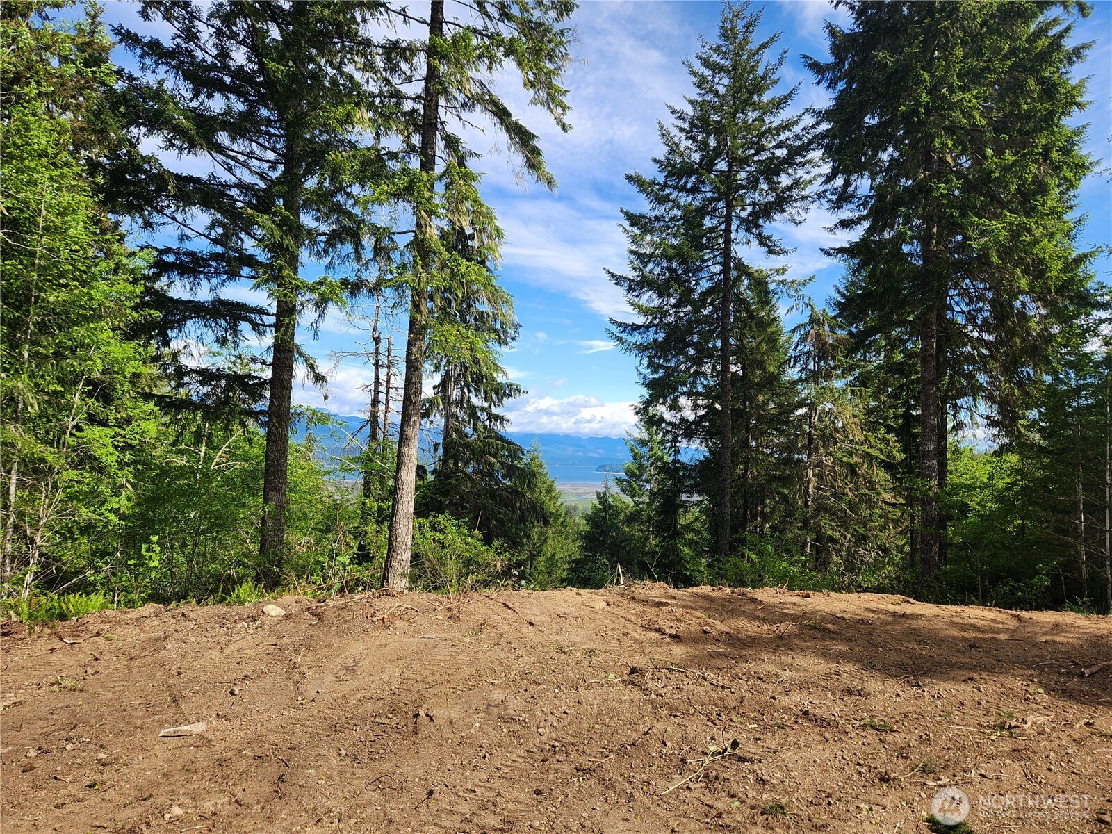 12 Webb Hill Road Union WA 98592