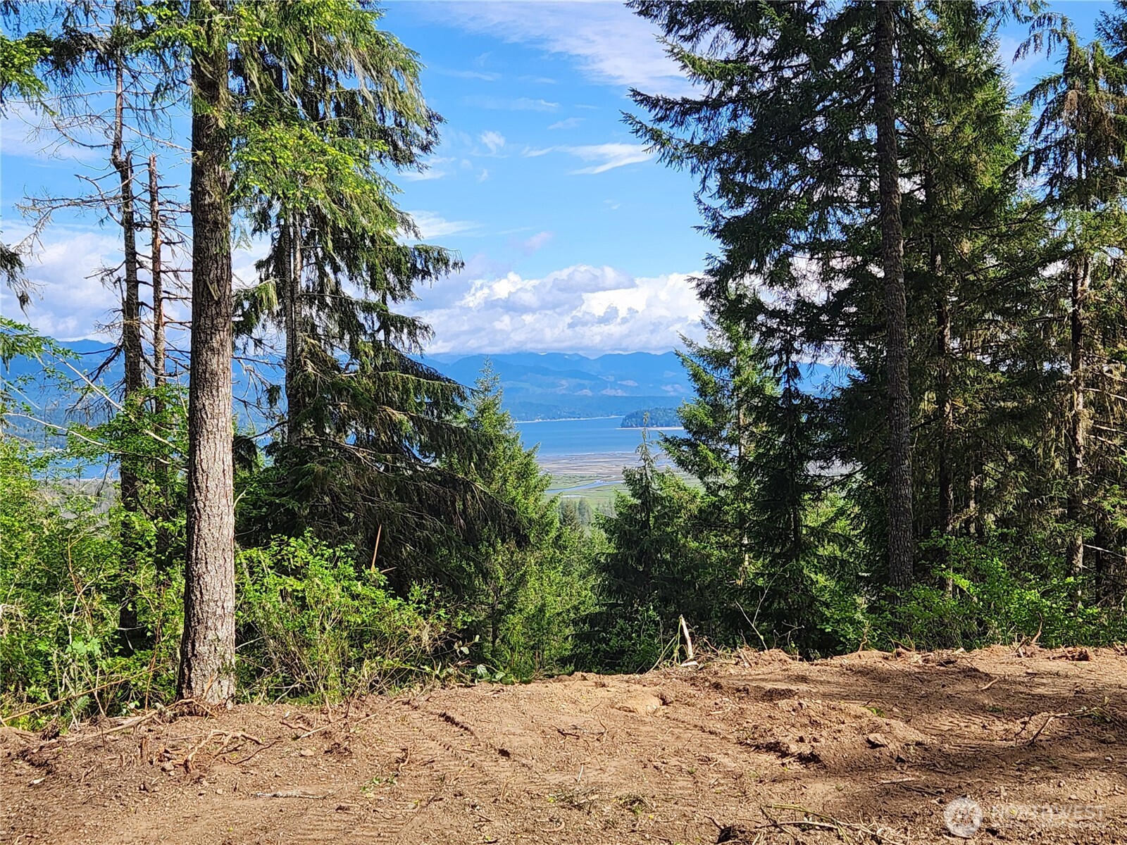 12 Webb Hill Road Union WA 98592