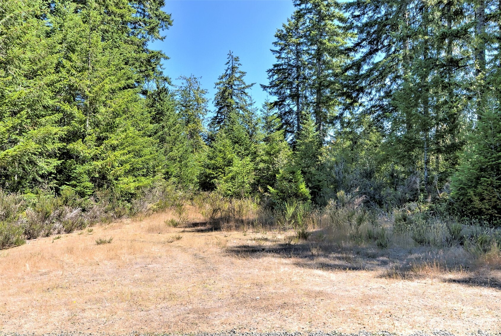 12 Webb Hill Road Union WA 98592