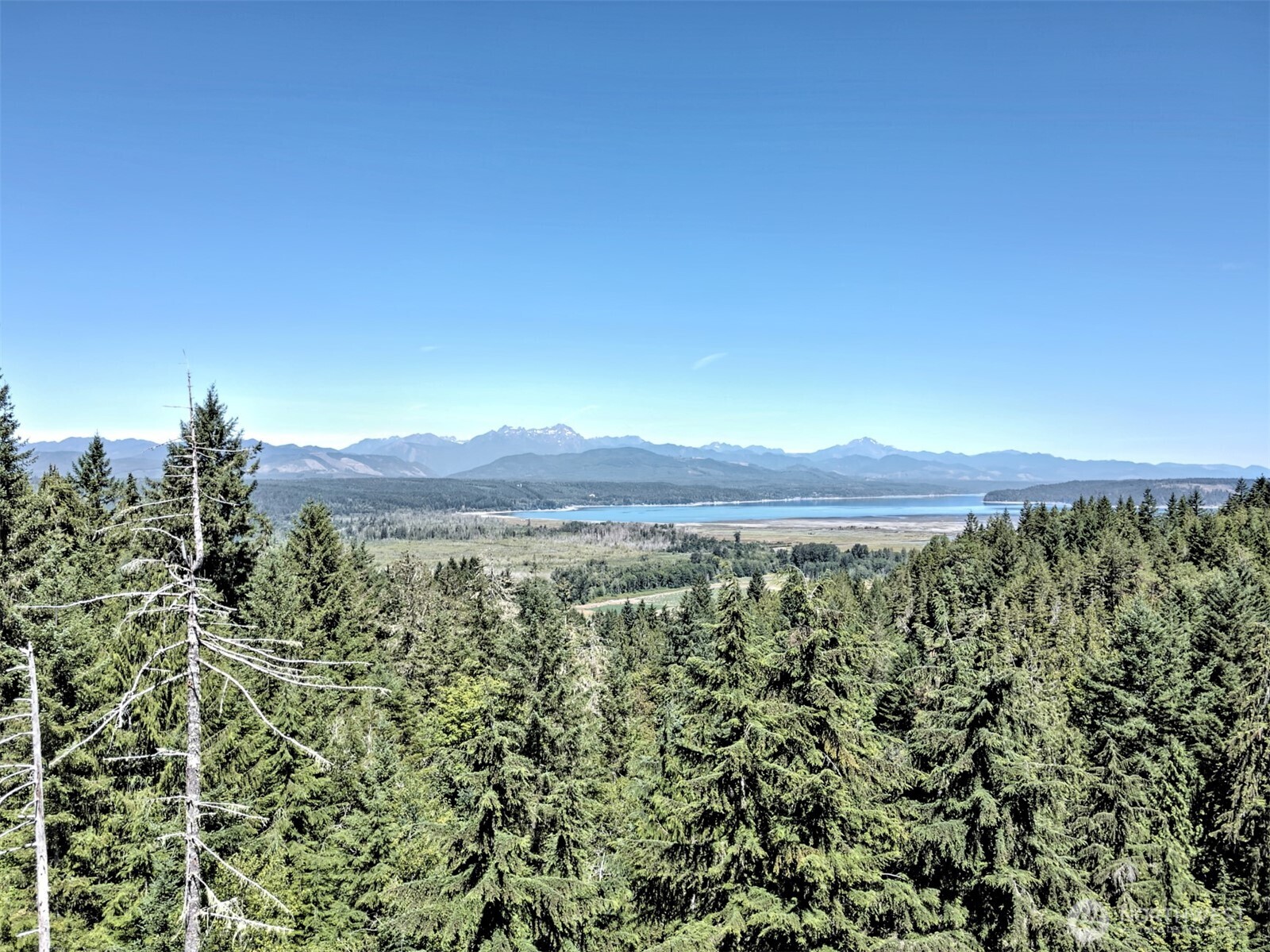 12 Webb Hill Road Union WA 98592