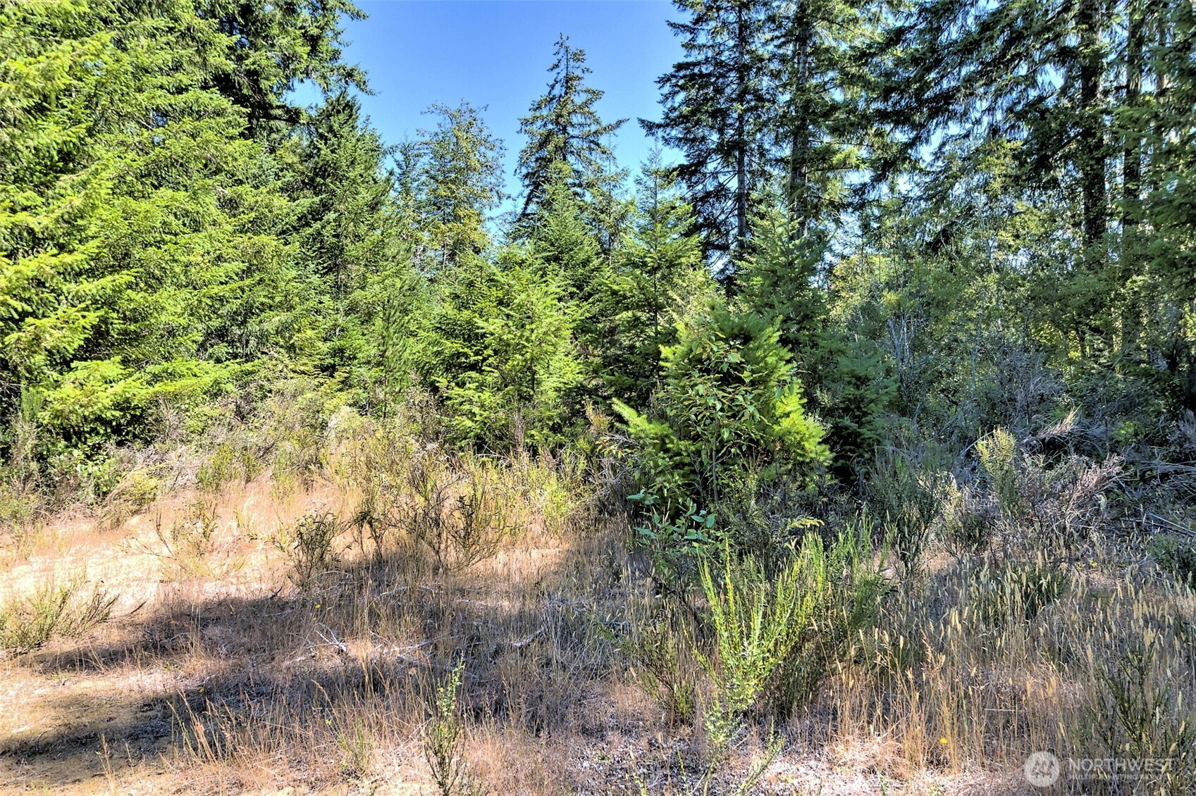12 Webb Hill Road Union WA 98592