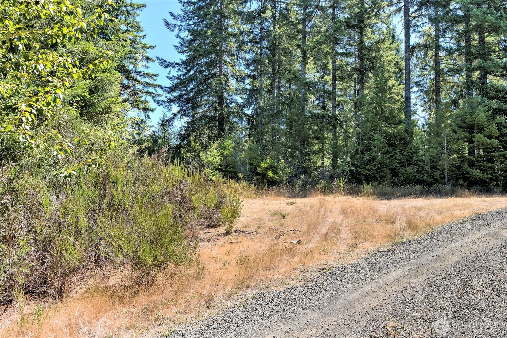 12 Webb Hill Road Union WA 98592