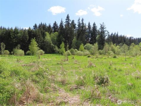 3898 State Route 6 Chehalis WA 98532