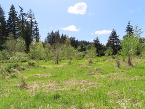 3898 State Route 6 Chehalis WA 98532