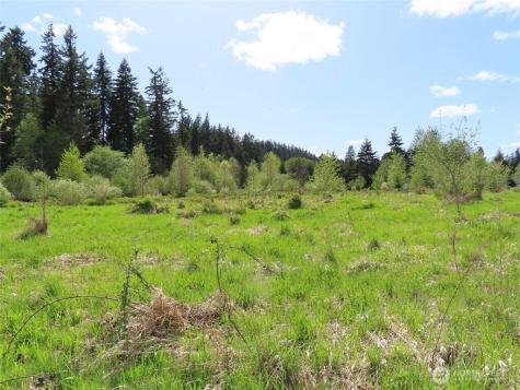 3898 State Route 6 Chehalis WA 98532