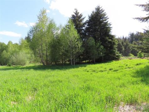 3898 State Route 6 Chehalis WA 98532