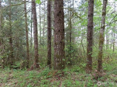 3898 State Route 6 Chehalis WA 98532