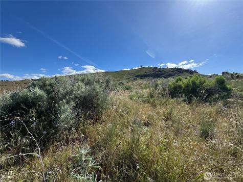 35 Sunset Ridge Road Oroville WA 98844