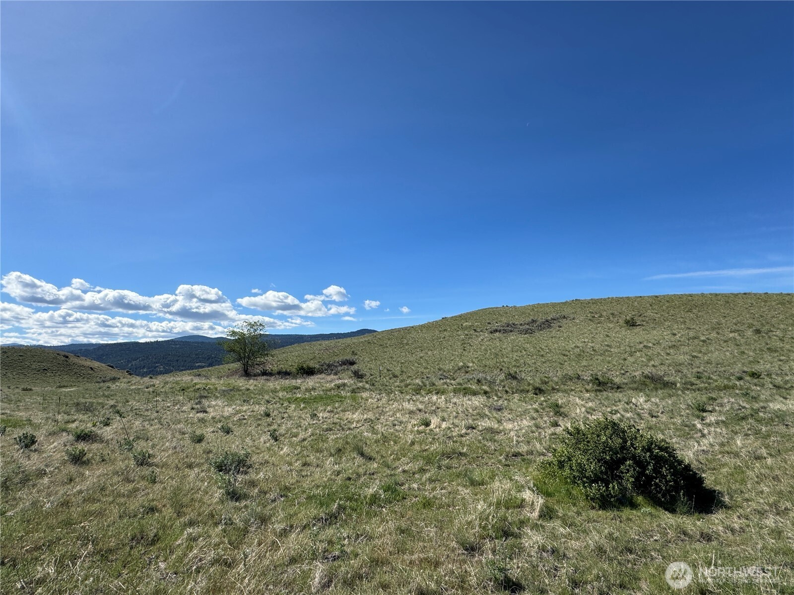 35 Sunset Ridge Road Oroville WA 98844