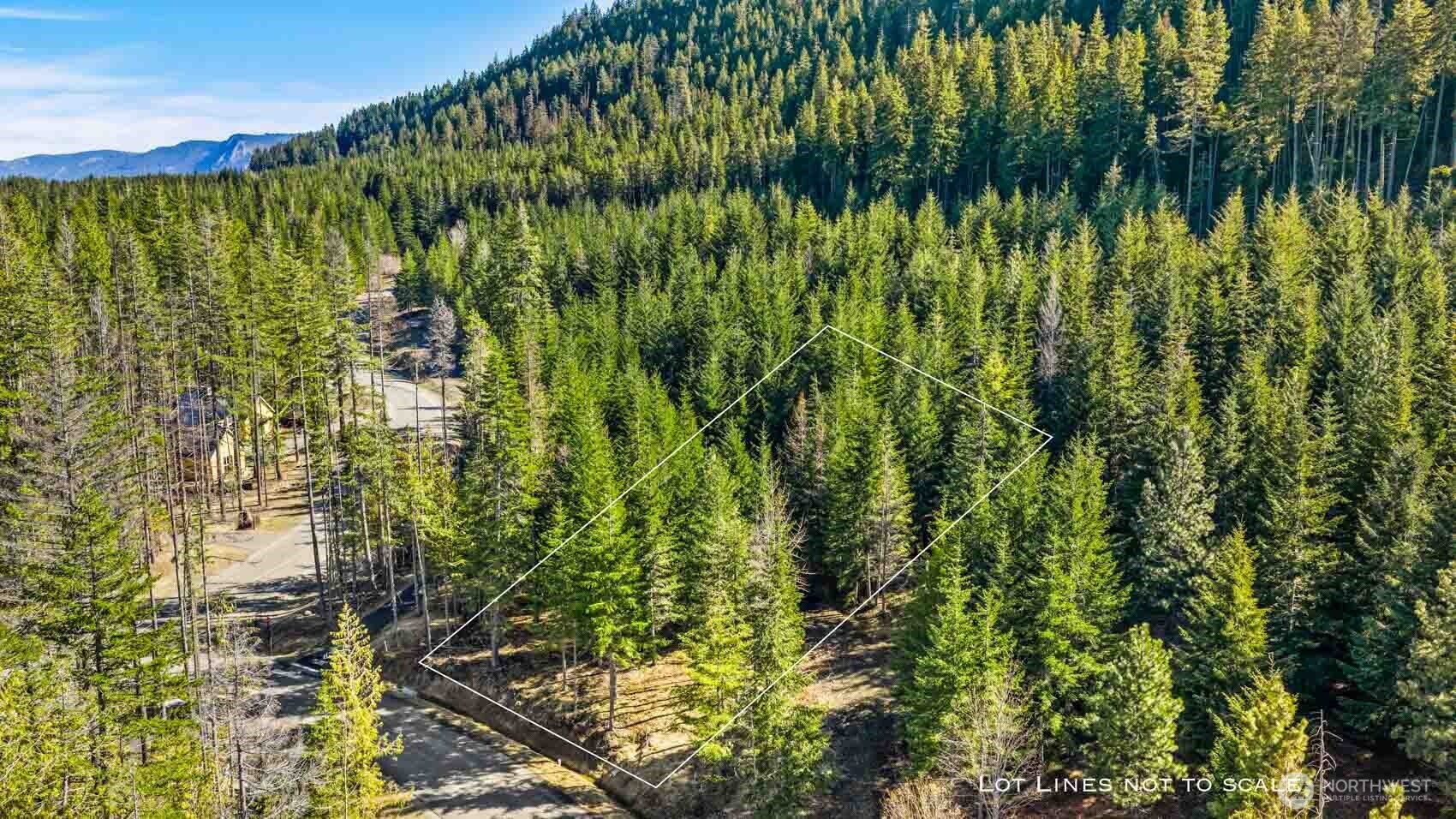 74 Liberty Bell Lane Cle Elum WA 98922
