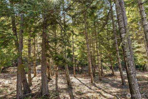 74 Liberty Bell Lane Cle Elum WA 98922