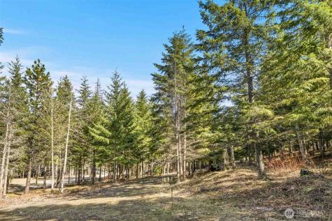 74 Liberty Bell Lane Cle Elum WA 98922