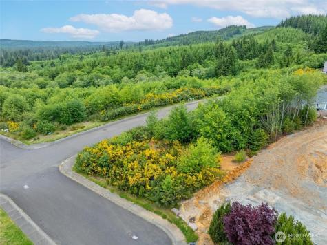 0 Sanderling Drive Hoquiam WA 98550