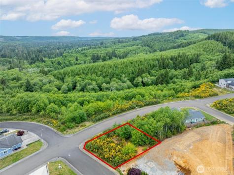 0 Sanderling Drive Hoquiam WA 98550