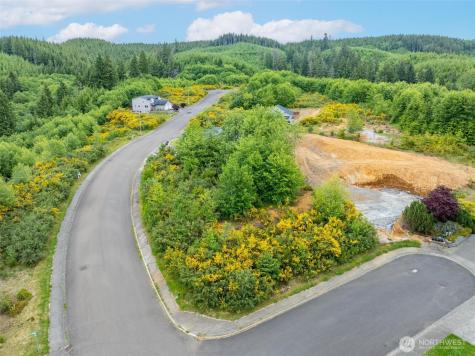 0 Sanderling Drive Hoquiam WA 98550