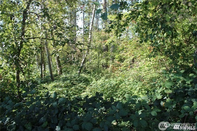 3085 W Maplewood Avenue Bellingham WA 98225