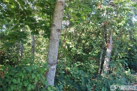 3085 W Maplewood Avenue Bellingham WA 98225