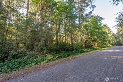 11316 Breaker Way Anderson Island WA 98303