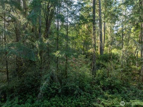 11316 Breaker Way Anderson Island WA 98303