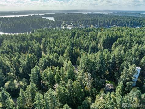 11316 Breaker Way Anderson Island WA 98303