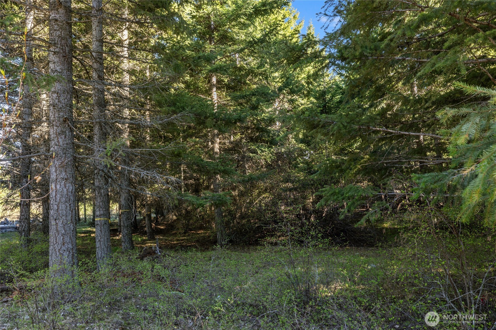 80 Gold Fountain Lane Cle Elum WA 98922