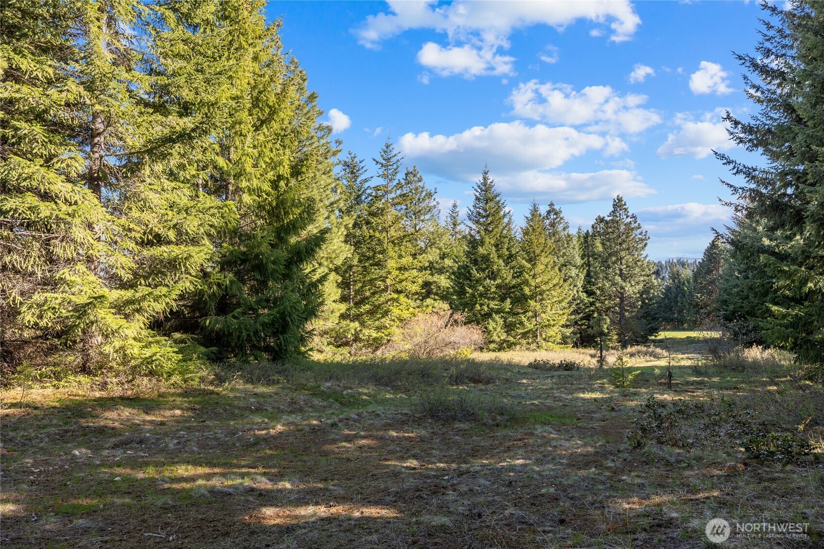 80 Gold Fountain Lane Cle Elum WA 98922