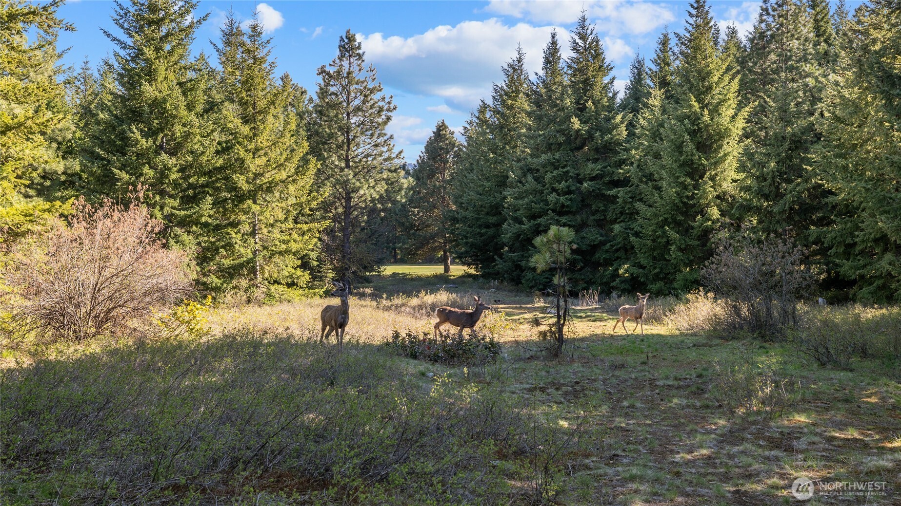 80 Gold Fountain Lane Cle Elum WA 98922