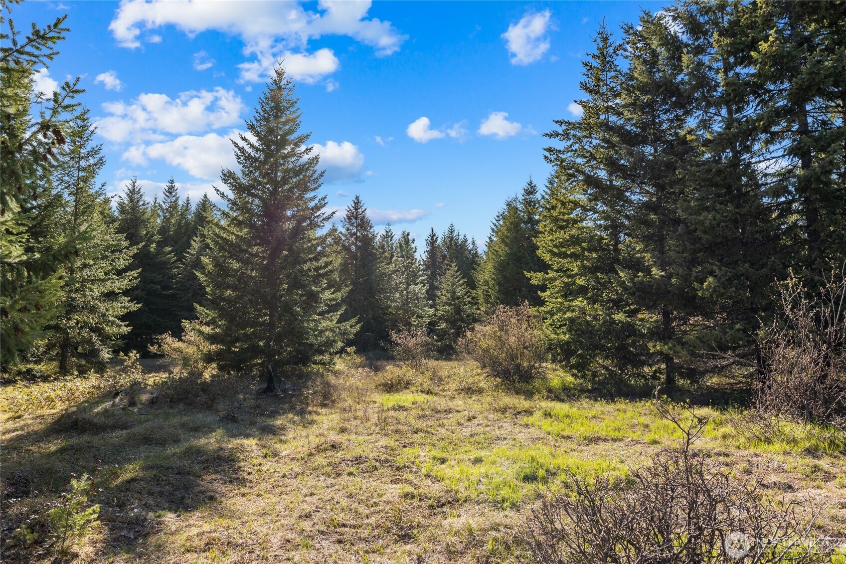 80 Gold Fountain Lane Cle Elum WA 98922
