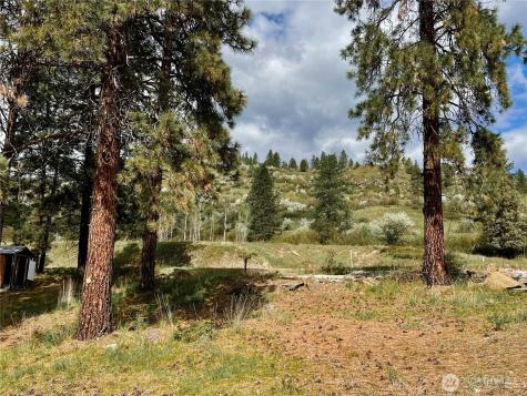 4239 Northport Flat Creek Road Northport WA 99157