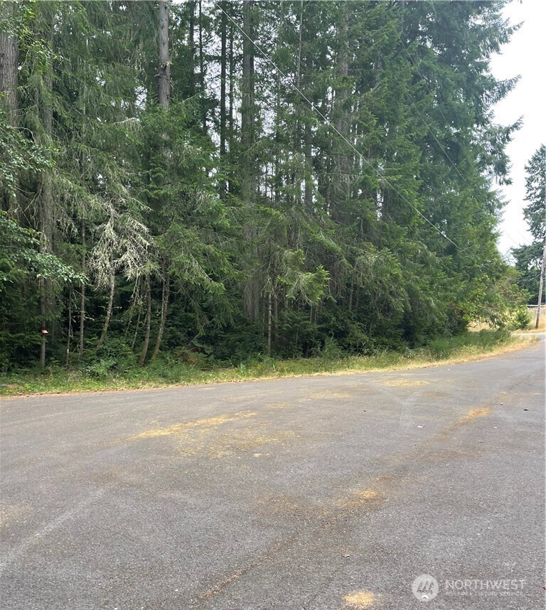 12514 93rd Street Court Anderson Island WA 98303