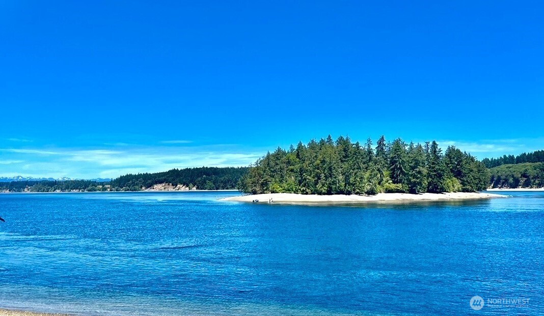 12514 93rd Street Court Anderson Island WA 98303