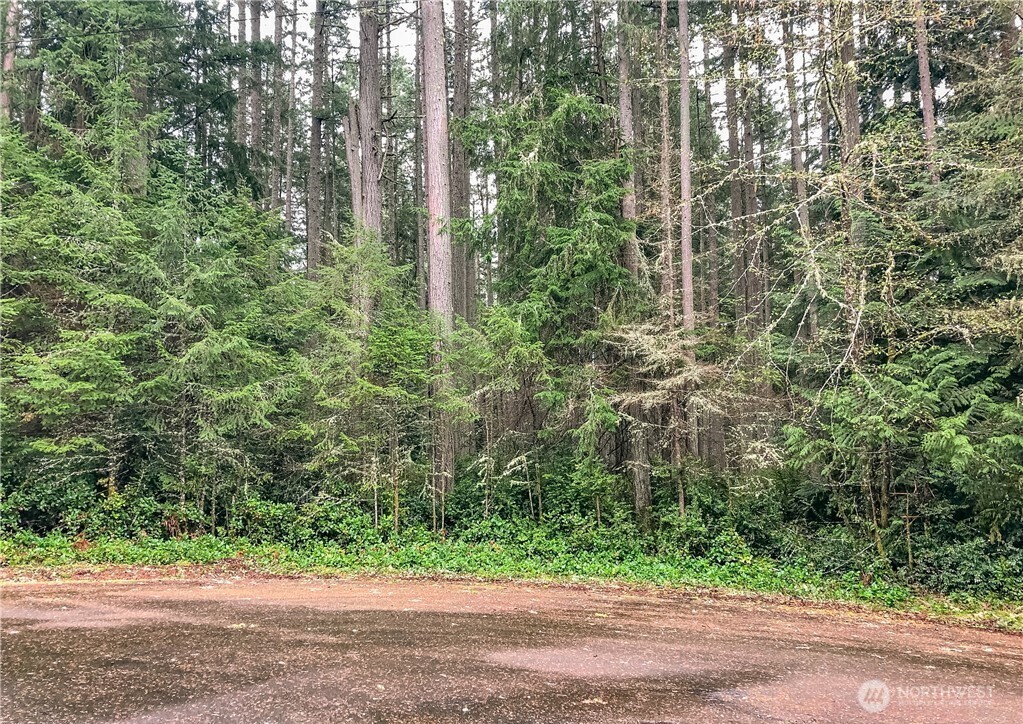 12514 93rd Street Court Anderson Island WA 98303