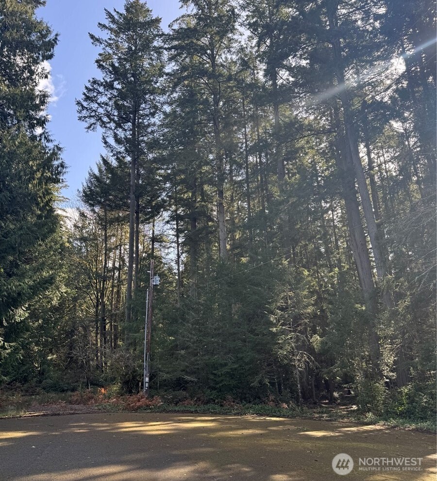 12514 93rd Street Court Anderson Island WA 98303