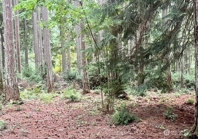 12514 93rd Street Court Anderson Island WA 98303