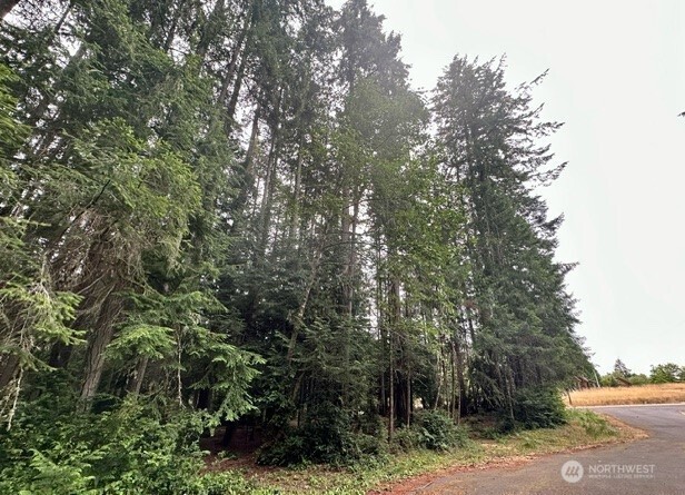 12514 93rd Street Court Anderson Island WA 98303