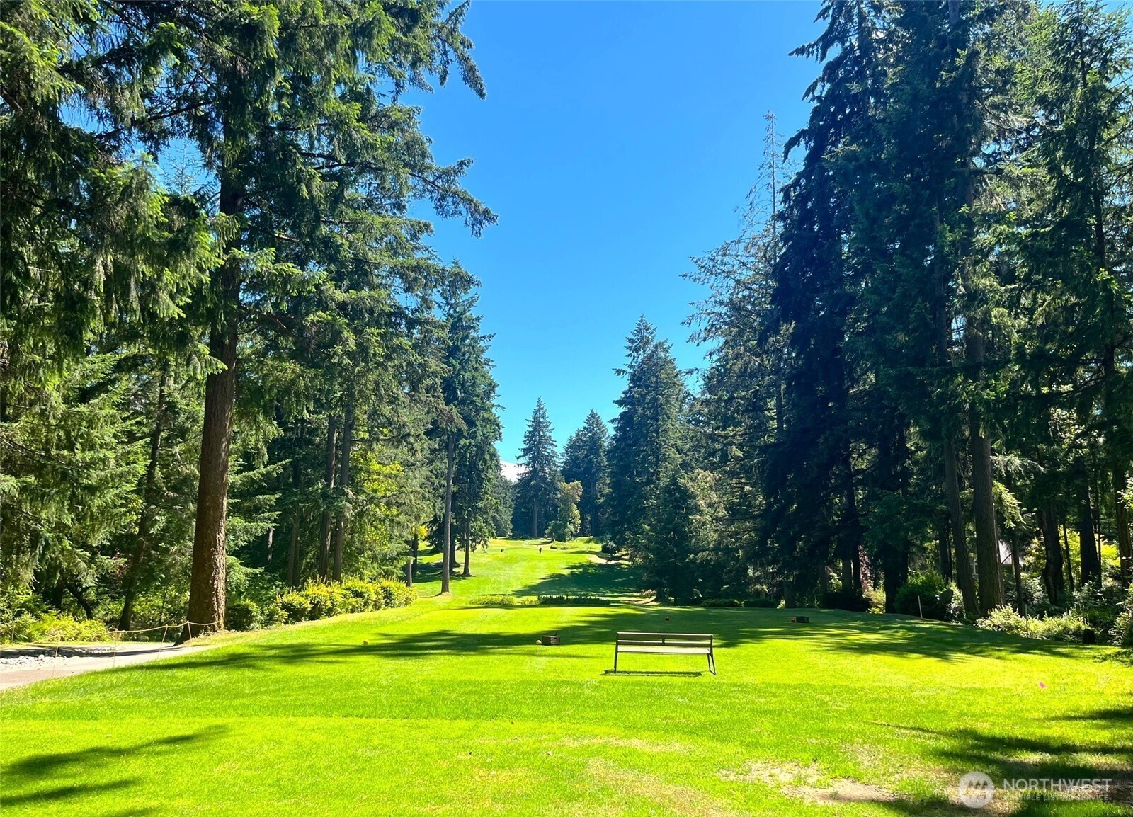 12514 93rd Street Court Anderson Island WA 98303