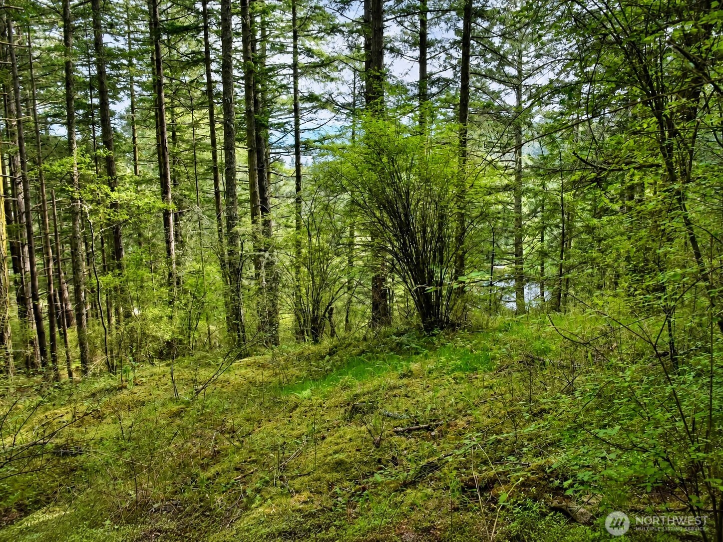 0 Garden Lane Orcas Island WA 98279