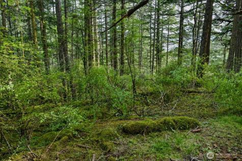 0 Garden Lane Orcas Island WA 98279