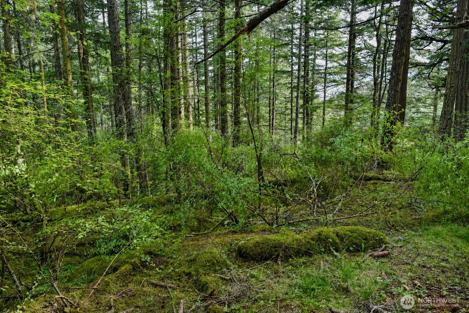 0 Garden Lane Orcas Island WA 98279