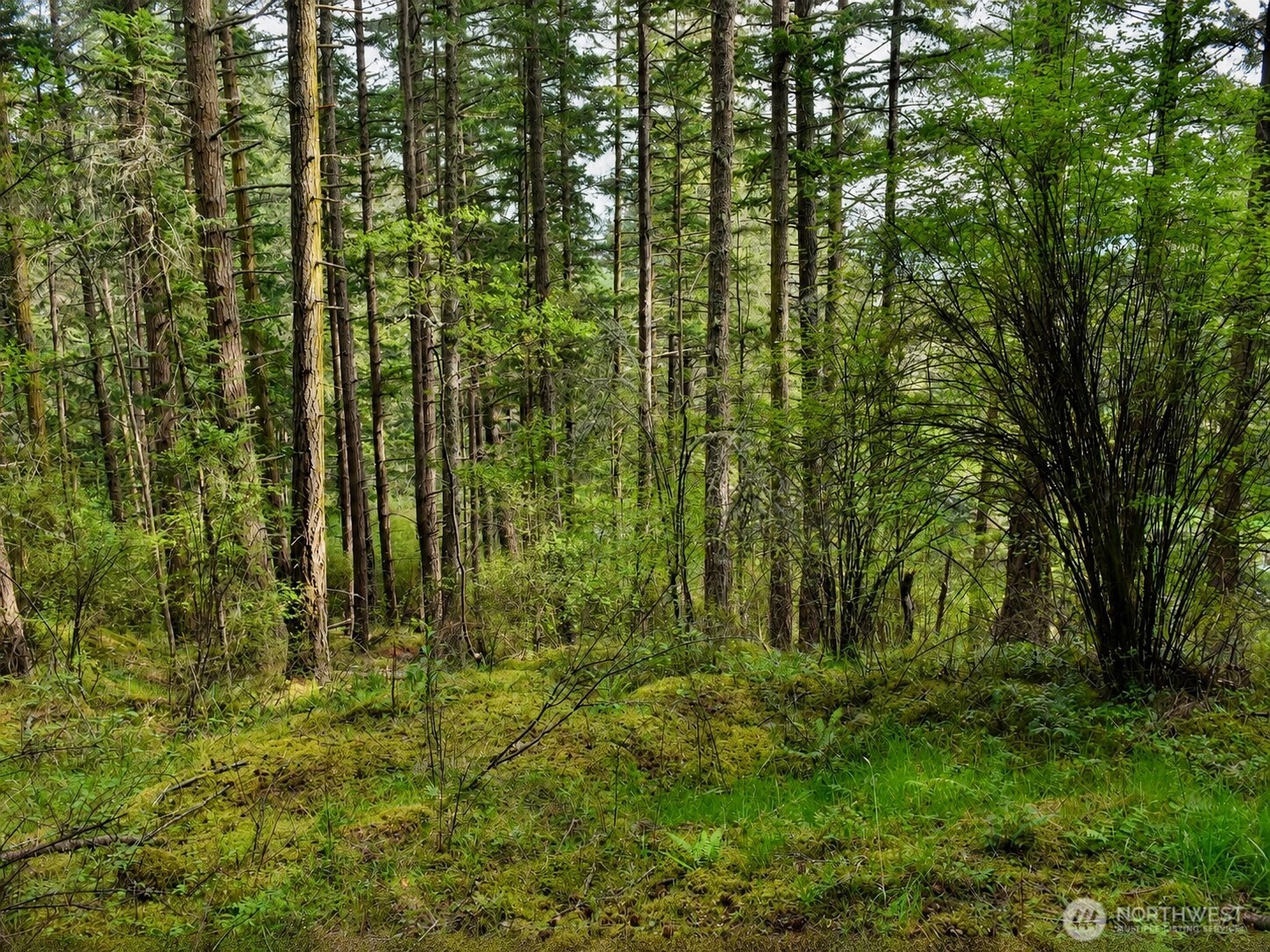0 Garden Lane Orcas Island WA 98279