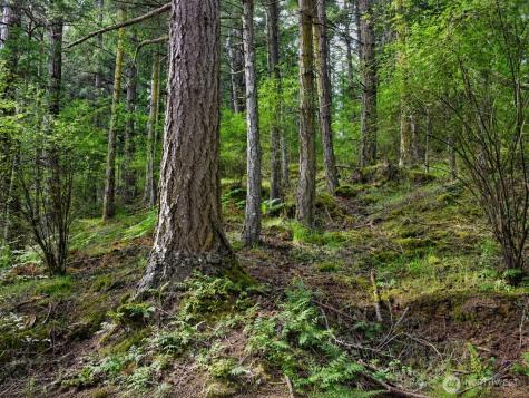 0 Garden Lane Orcas Island WA 98279