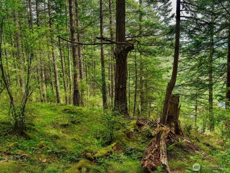 0 Garden Lane Orcas Island WA 98279