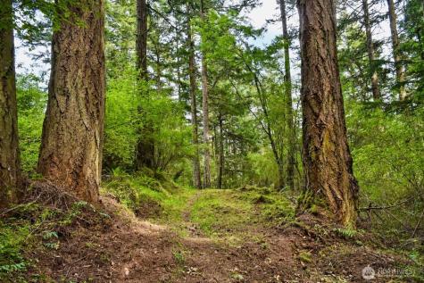 0 Garden Lane Orcas Island WA 98279