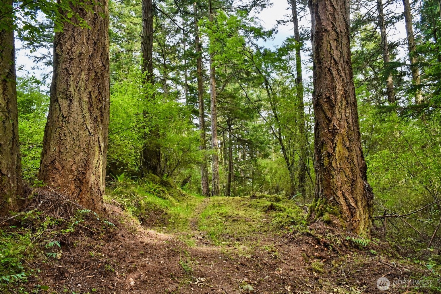 0 Garden Lane Orcas Island WA 98279
