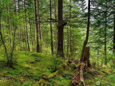 0 Garden Orcas Island WA 98279