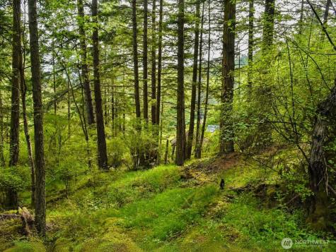 0 Garden Lane Orcas Island WA 98279