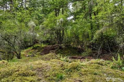 0 Garden Lane Orcas Island WA 98279