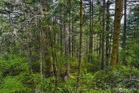 0 Garden Lane Orcas Island WA 98279