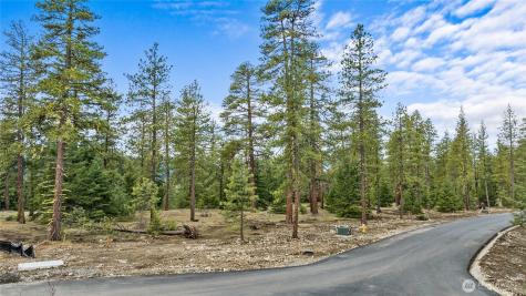 25 Wanawish Loop Cle Elum WA 98922